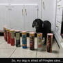 scared of pringles