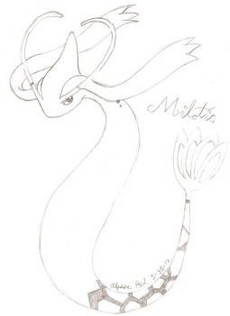 Milotic Sketch