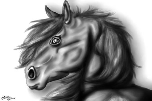 Horse- Realism