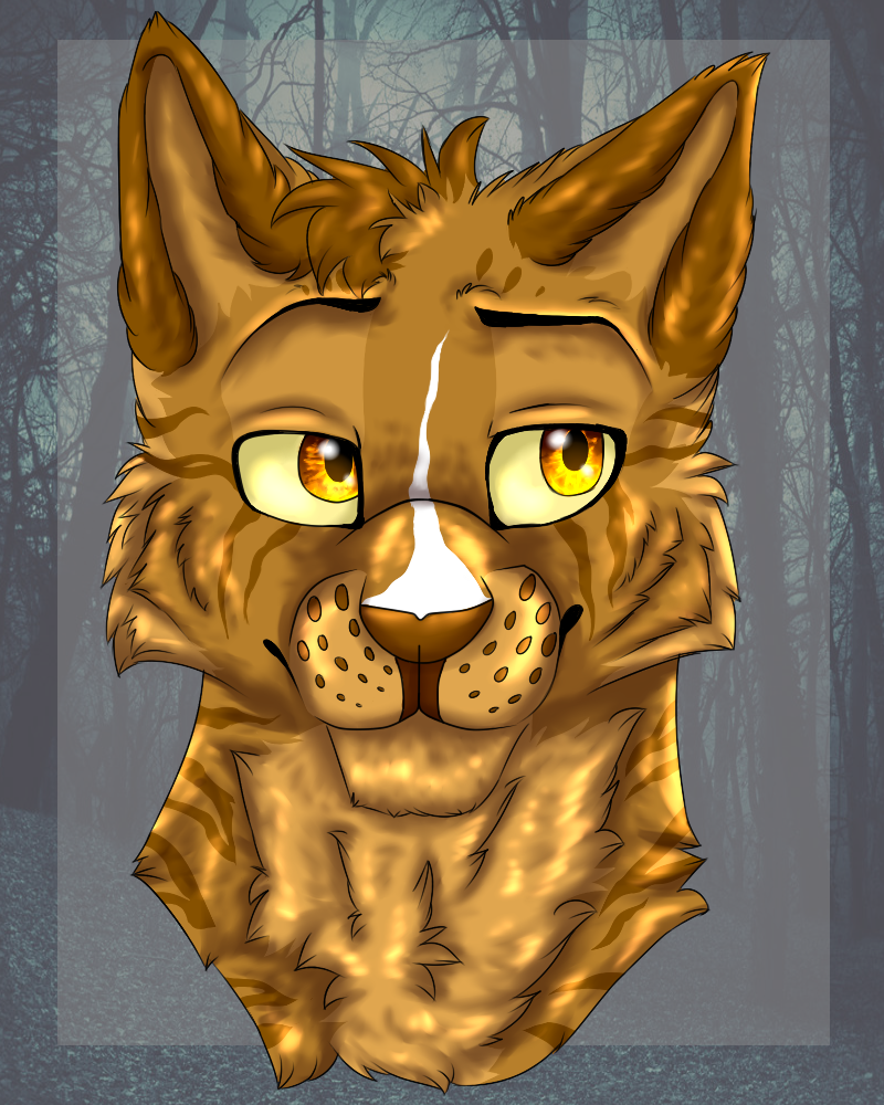 Brackenfur headshot