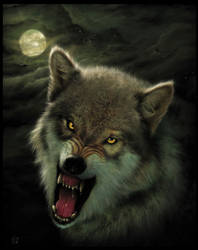 Nightbreed  - Wolf Art -