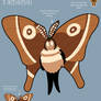 Animal Crossing x Hollow Knight-Oak Silk Moth