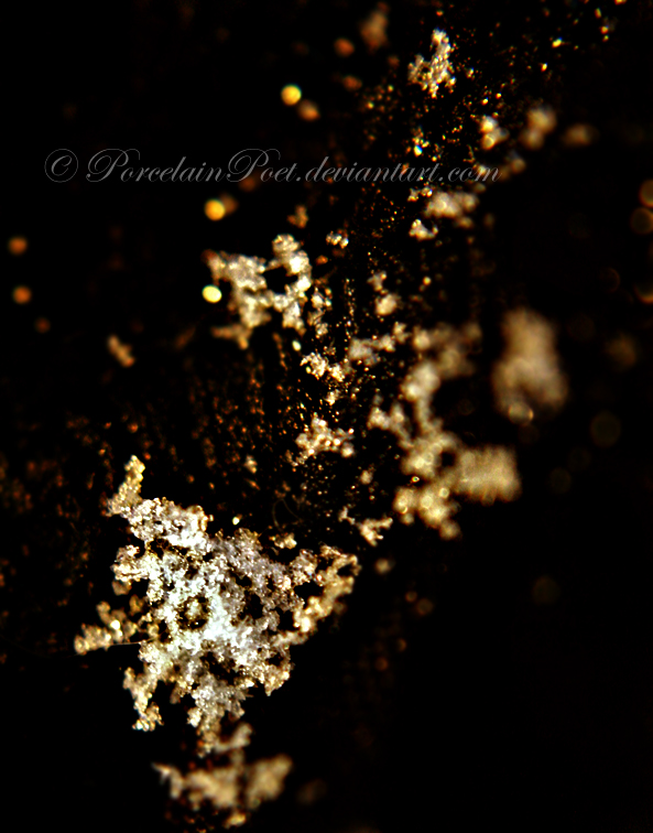 Golden Snowflake