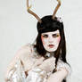 faun