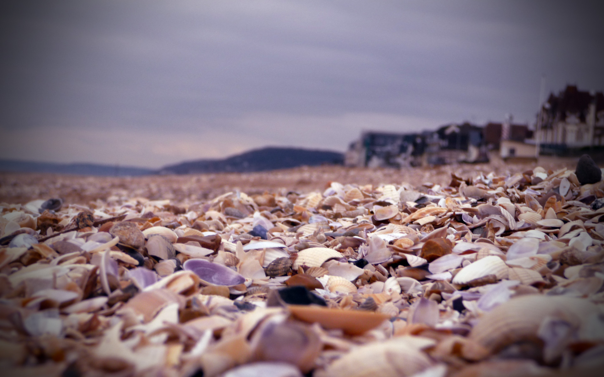 Cabourg Shells