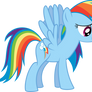 Rainbow Dash Vector