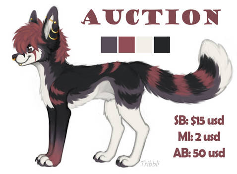 adopt auction [OPEN]