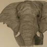 Elephant in progress