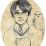 HP: Harry's Portrait