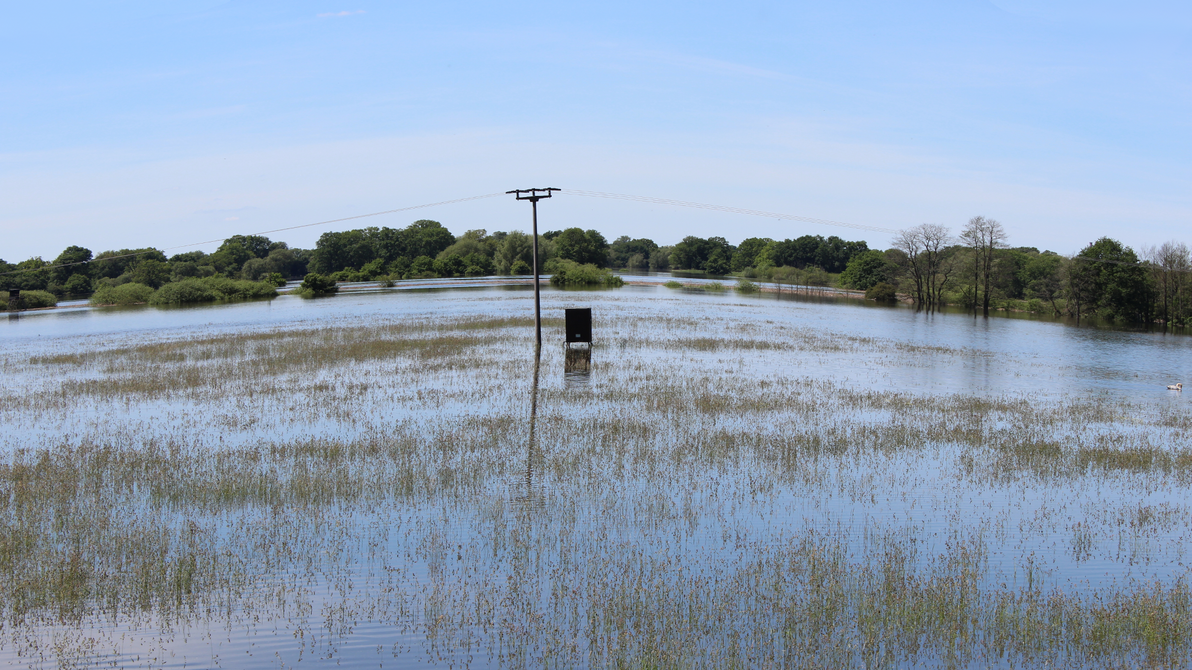 B184 by raz0rsedgeDA on DeviantArt