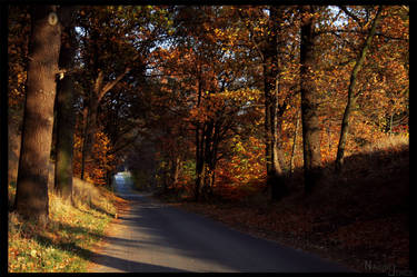 The beautiful autumn