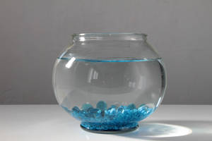 Fishbowl by Fran-photo