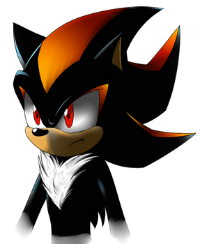 Shadow the hedgehog