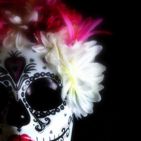 Sugar Skull Mask in Pink and Black