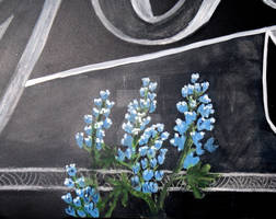 Bluebonnets in Chalk