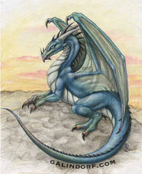 Dragon-Blue