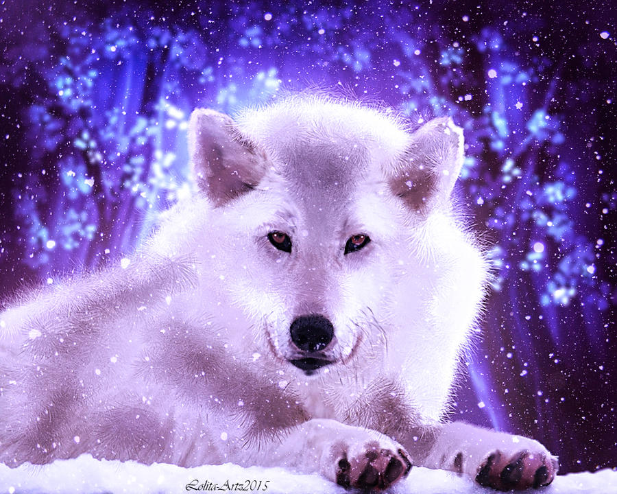 Tala by Lolita-Artz Tala by Lolita-Artz