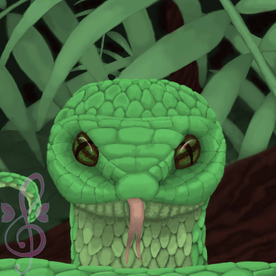 Commission Snake by Rock-fairy-art on DeviantArt