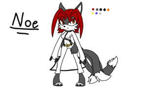 Sonic OC: Noe