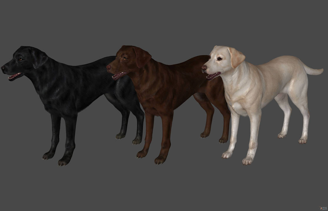 Fallout 4 Lablover 'Fallout 4' Labrador XPS ONLY!!! by lezisell on DeviantArt