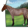 FireStorm the yearling