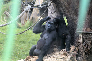 Mother and Child