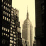 Gotham
