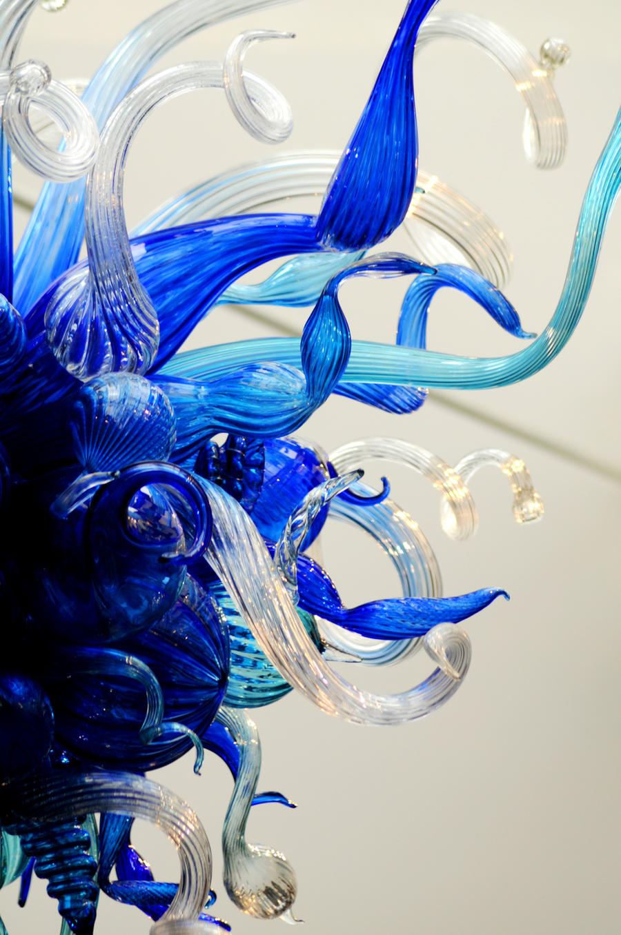 Chihuly 5