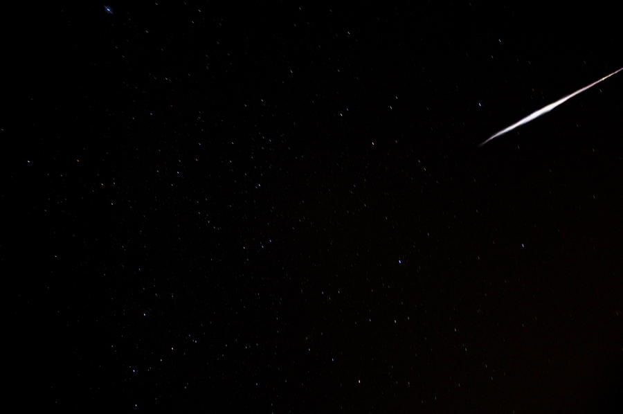 Perseids