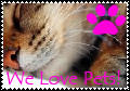 we love pets stamp