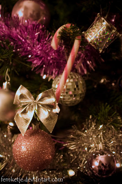 Xmas 2010 - 2
