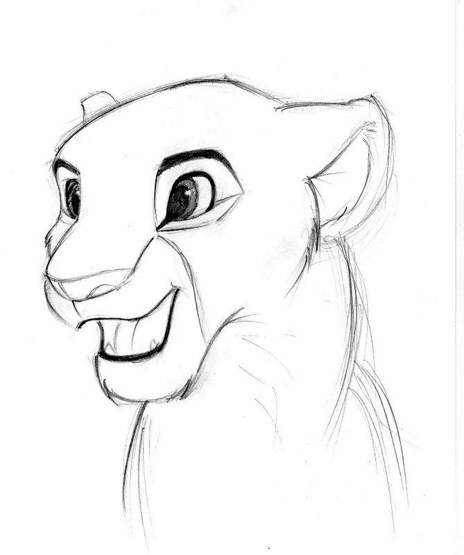 Картинки срисовать легко и красиво. Король Лев для срисовки. Eskiz Disney Король Лев. Рисунки из мультика Король Лев карандашом. Животные рисунок легкий для срисовки.