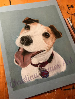 Jack Russell Pastel Portrait