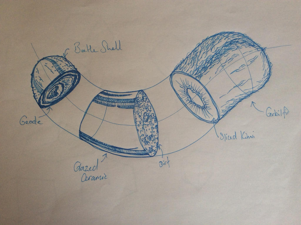 Object Dissection Drawing Dissections and textures exercise by ShaggyMark on DeviantArt