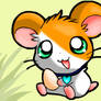 my hamtaro furry - butterball