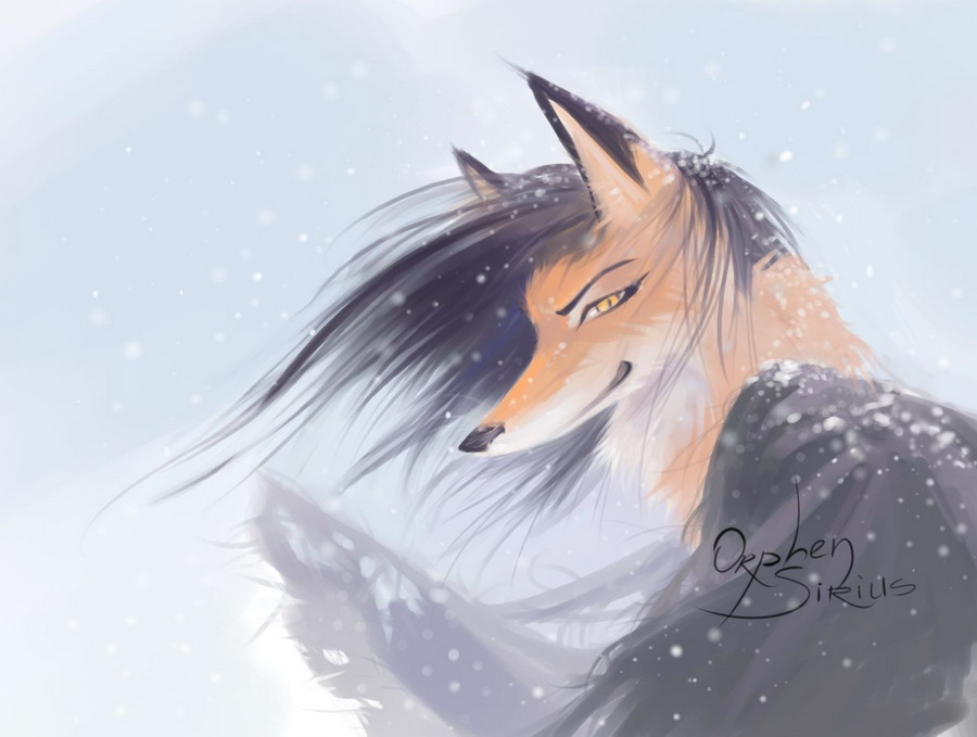 snow fox