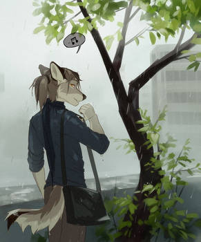 rain