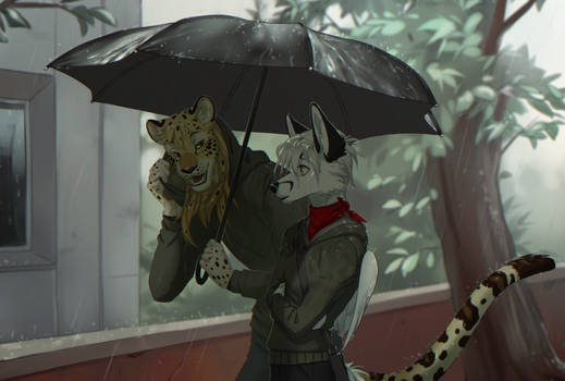 rainy meeting