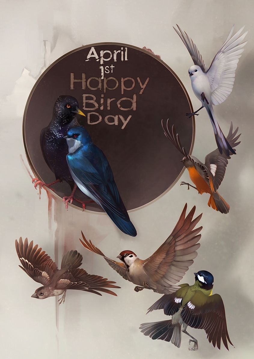 1st April - Bird Day