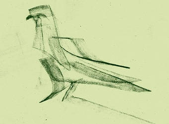 bird1