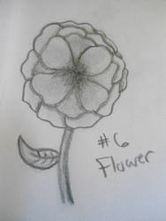 #6 Flower