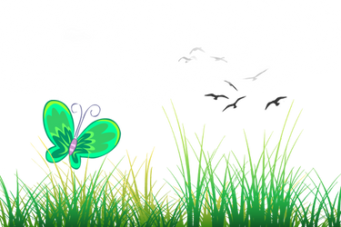 Butterfly, grass, clouds, birds