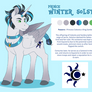 Ref WinterSolstice