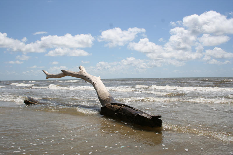 drifted wood by goodiebagstock