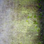Mossy Cloth 03