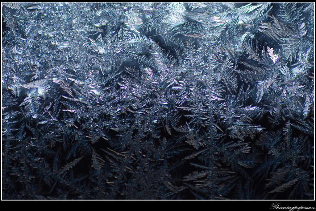 Frost III