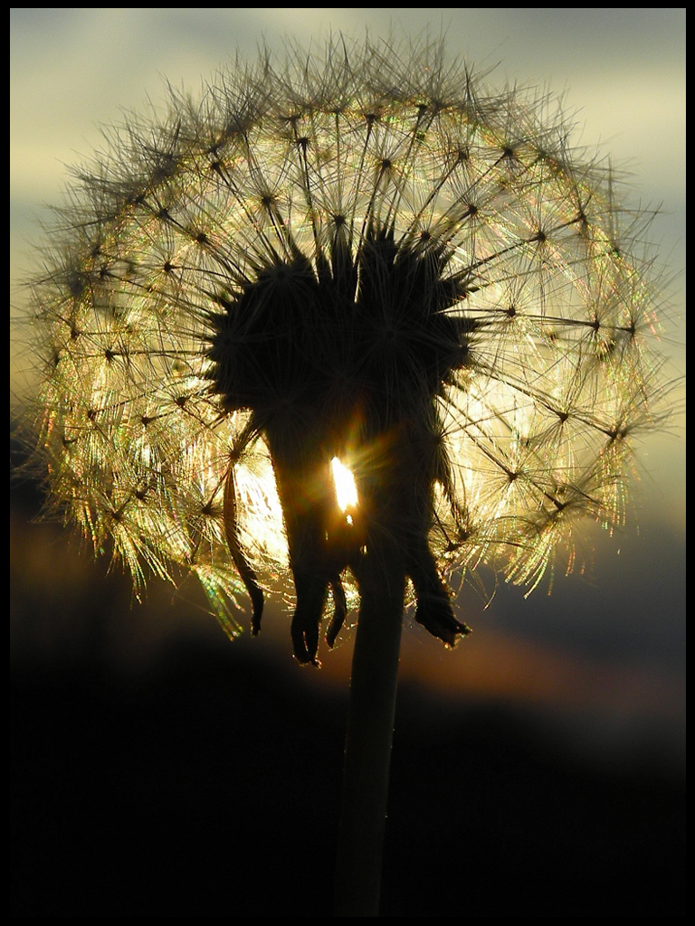 If Only It Was a Windy Day