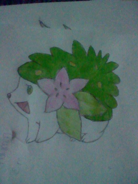 Shaymin The Floral Pokemon