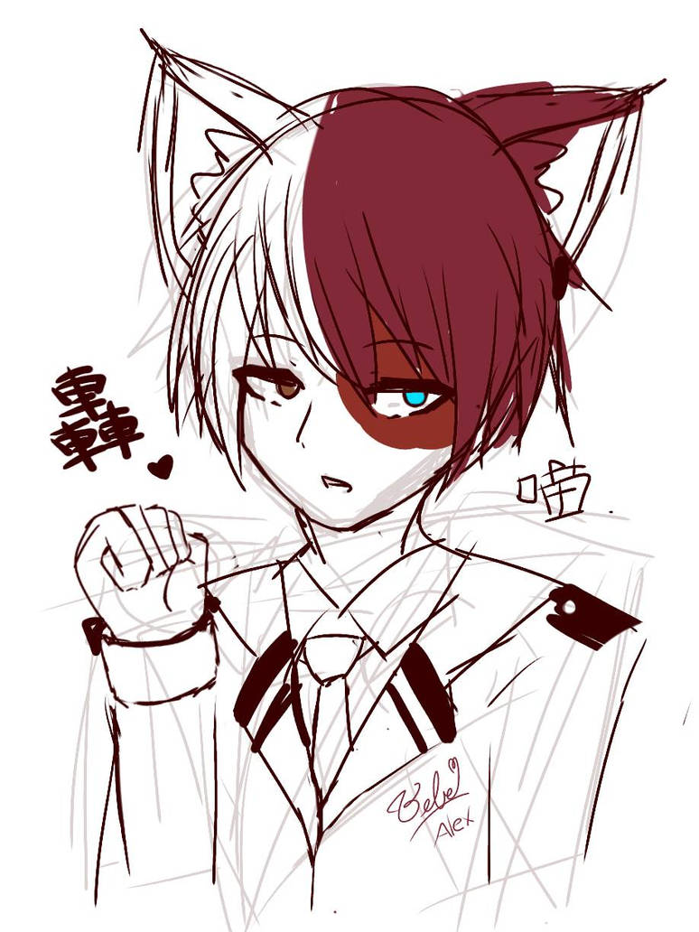 Todo'Meow'roki Shoto//BNHA by AngelGirlBe22 on DeviantArt