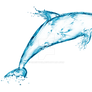 Dolphin of water on a transparent background